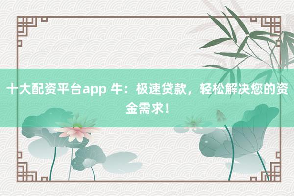 十大配资平台app 牛：极速贷款，轻松解决您的资金需求！