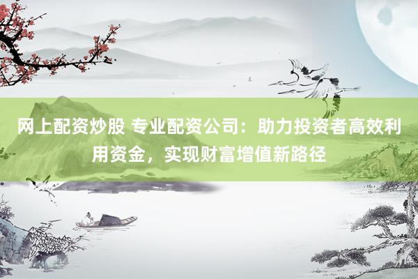 网上配资炒股 专业配资公司：助力投资者高效利用资金，实现财富增值新路径