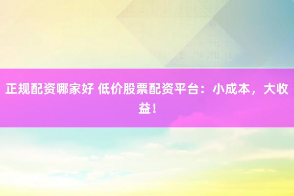 正规配资哪家好 低价股票配资平台：小成本，大收益！
