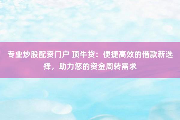 专业炒股配资门户 顶牛贷：便捷高效的借款新选择，助力您的资金周转需求