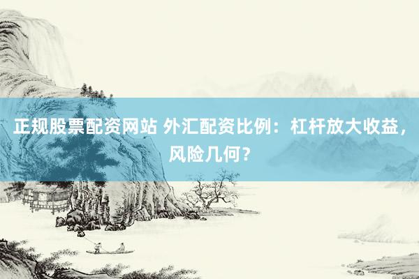 正规股票配资网站 外汇配资比例：杠杆放大收益，风险几何？